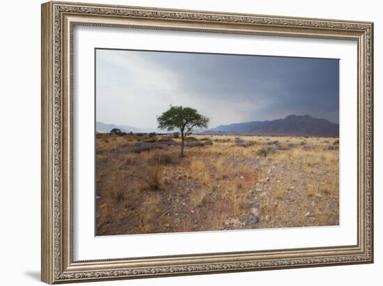 Namib-Naukluft National Park at Sunrise-Alex Saberi-Framed Photographic Print