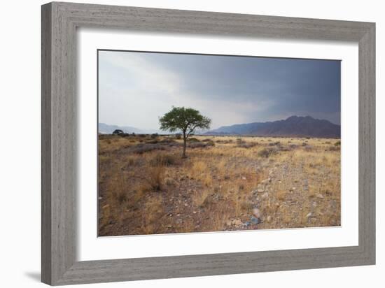 Namib-Naukluft National Park at Sunrise-Alex Saberi-Framed Photographic Print