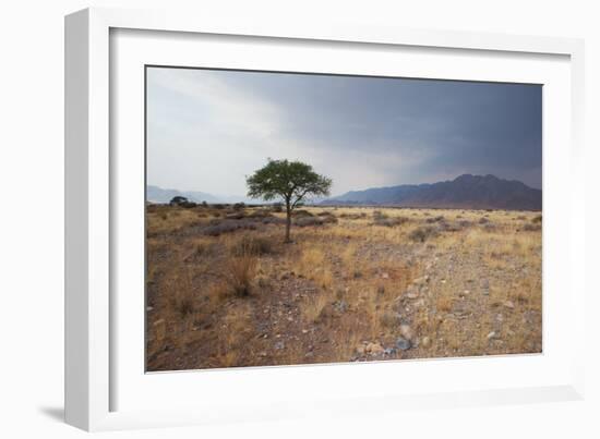 Namib-Naukluft National Park at Sunrise-Alex Saberi-Framed Photographic Print