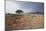 Namib-Naukluft National Park at Sunrise-Alex Saberi-Mounted Photographic Print