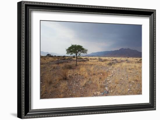 Namib-Naukluft National Park at Sunrise-Alex Saberi-Framed Photographic Print