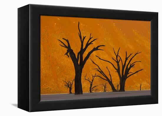 Namib-Naukluft National Park, Namibia-Art Wolfe-Framed Premier Image Canvas