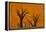 Namib-Naukluft National Park, Namibia-Art Wolfe-Framed Premier Image Canvas