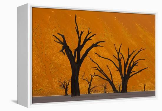 Namib-Naukluft National Park, Namibia-Art Wolfe-Framed Premier Image Canvas