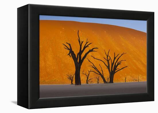 Namib-Naukluft National Park, Namibia-Art Wolfe-Framed Premier Image Canvas