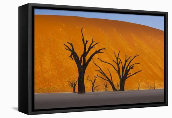 Namib-Naukluft National Park, Namibia-Art Wolfe-Framed Premier Image Canvas