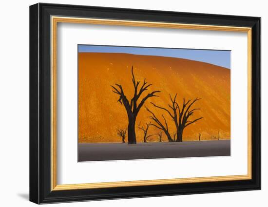 Namib-Naukluft National Park, Namibia-Art Wolfe-Framed Photographic Print