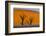 Namib-Naukluft National Park, Namibia-Art Wolfe-Framed Photographic Print