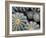 Namib-Irene Suchocki-Framed Giclee Print