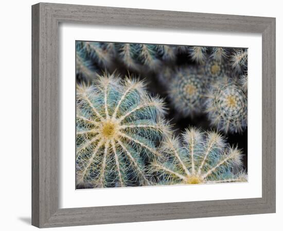 Namib-Irene Suchocki-Framed Giclee Print