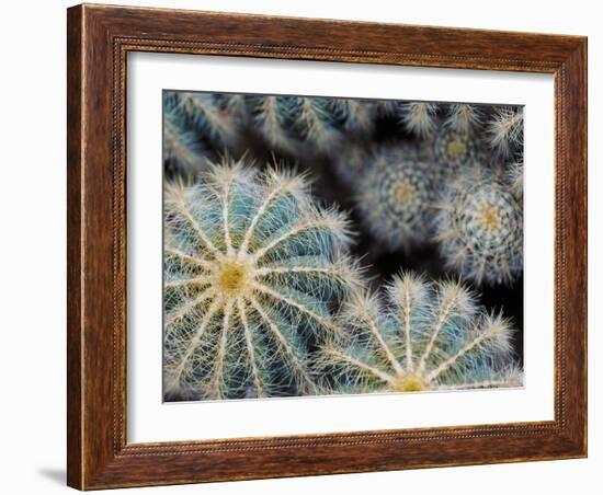 Namib-Irene Suchocki-Framed Giclee Print