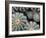 Namib-Irene Suchocki-Framed Giclee Print