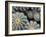 Namib-Irene Suchocki-Framed Giclee Print