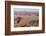 Namibia. Aerial view of the vast red dune fields of Sossusvlei in Namib-Naukluft National Park.-Brenda Tharp-Framed Photographic Print