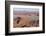 Namibia. Aerial view of the vast red dune fields of Sossusvlei in Namib-Naukluft National Park.-Brenda Tharp-Framed Photographic Print