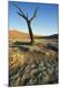 Photographic Print