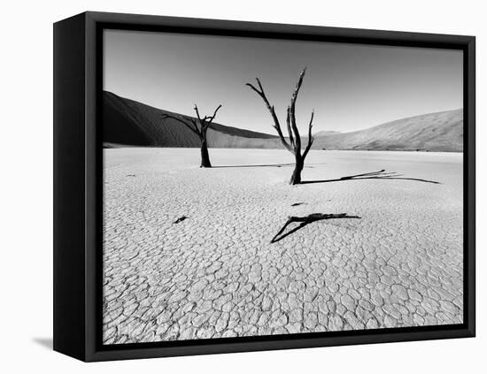 Namibia Dead Vlei-Nina Papiorek-Framed Premier Image Canvas