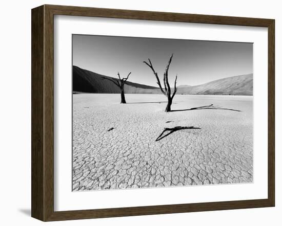 Namibia Dead Vlei-Nina Papiorek-Framed Photographic Print