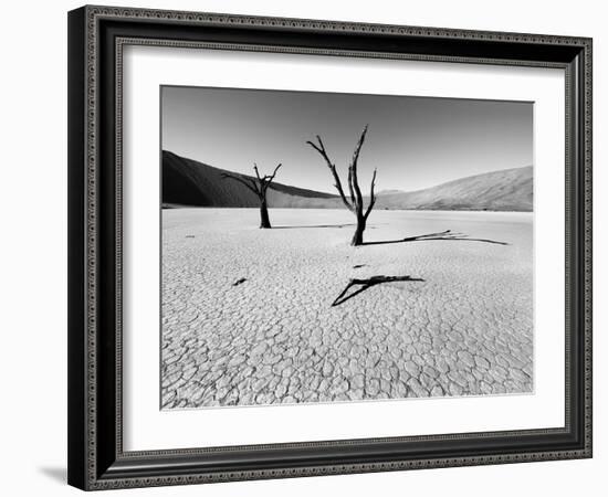 Namibia Dead Vlei-Nina Papiorek-Framed Photographic Print