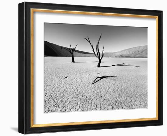 Namibia Dead Vlei-Nina Papiorek-Framed Photographic Print