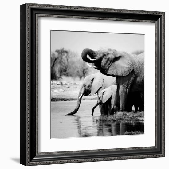 Namibia Elephants-Nina Papiorek-Framed Giclee Print