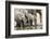 Namibia, Etosha National Park. Elephants Drinking at Waterhole-Wendy Kaveney-Framed Photographic Print