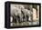 Namibia, Etosha National Park. Elephants Drinking at Waterhole-Wendy Kaveney-Framed Premier Image Canvas