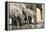 Namibia, Etosha National Park. Elephants Drinking at Waterhole-Wendy Kaveney-Framed Premier Image Canvas