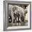 Namibia, Etosha National Park. Elephants Drinking at Waterhole-Wendy Kaveney-Framed Photographic Print