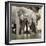 Namibia, Etosha National Park. Elephants Drinking at Waterhole-Wendy Kaveney-Framed Photographic Print