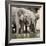 Namibia, Etosha National Park. Elephants Drinking at Waterhole-Wendy Kaveney-Framed Photographic Print