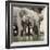 Namibia, Etosha National Park. Elephants Drinking at Waterhole-Wendy Kaveney-Framed Photographic Print