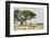 Namibia, Etosha National Park. Five Oryx and Tree-Wendy Kaveney-Framed Photographic Print