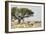 Namibia, Etosha National Park. Five Oryx and Tree-Wendy Kaveney-Framed Photographic Print