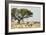 Namibia, Etosha National Park. Five Oryx and Tree-Wendy Kaveney-Framed Photographic Print