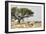 Namibia, Etosha National Park. Five Oryx and Tree-Wendy Kaveney-Framed Photographic Print