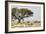 Namibia, Etosha National Park. Five Oryx and Tree-Wendy Kaveney-Framed Photographic Print