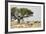 Namibia, Etosha National Park. Five Oryx and Tree-Wendy Kaveney-Framed Photographic Print