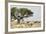 Namibia, Etosha National Park. Five Oryx and Tree-Wendy Kaveney-Framed Photographic Print