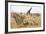 Namibia, Etosha National Park. Giraffe and Springboks-Wendy Kaveney-Framed Photographic Print