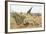 Namibia, Etosha National Park. Giraffe and Springboks-Wendy Kaveney-Framed Photographic Print