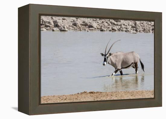 Namibia, Etosha National Park. Oryx Wading in Waterhole-Wendy Kaveney-Framed Premier Image Canvas