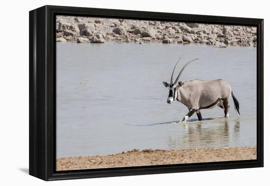 Namibia, Etosha National Park. Oryx Wading in Waterhole-Wendy Kaveney-Framed Premier Image Canvas