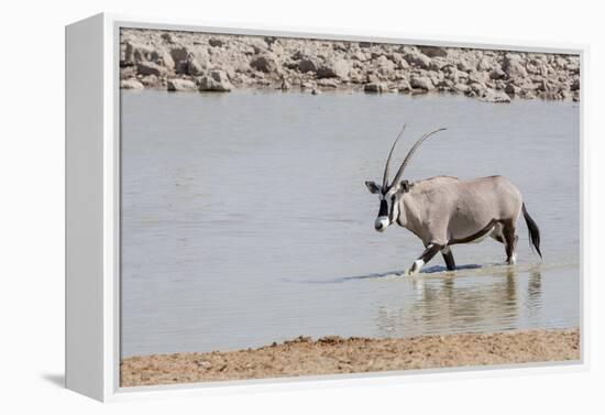 Namibia, Etosha National Park. Oryx Wading in Waterhole-Wendy Kaveney-Framed Premier Image Canvas