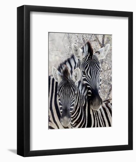 Namibia, Etosha National Park. Portrait of Two Zebras-Wendy Kaveney-Framed Photographic Print