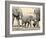 Namibia, Etosha NP. Baby Elephant Walking Between Two Adults-Wendy Kaveney-Framed Photographic Print