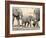 Namibia, Etosha NP. Baby Elephant Walking Between Two Adults-Wendy Kaveney-Framed Photographic Print