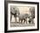 Namibia, Etosha NP. Baby Elephant Walking Between Two Adults-Wendy Kaveney-Framed Photographic Print