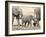 Namibia, Etosha NP. Baby Elephant Walking Between Two Adults-Wendy Kaveney-Framed Photographic Print