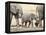 Namibia, Etosha NP. Baby Elephant Walking Between Two Adults-Wendy Kaveney-Framed Premier Image Canvas